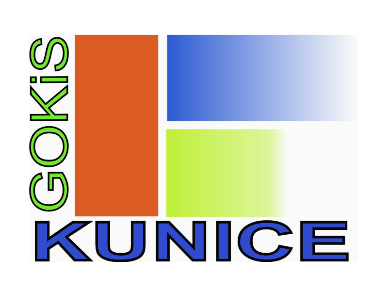logo GOKiS