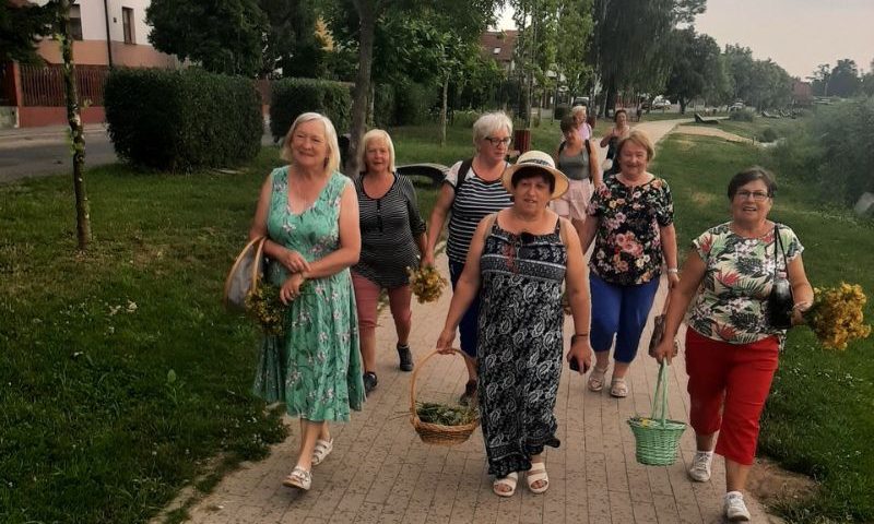 warsztaty ziołowe