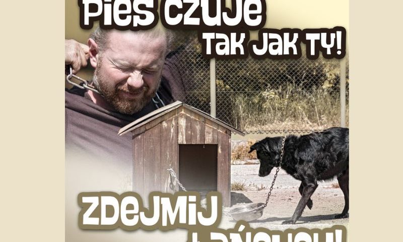 Zdejmij łańcuch!