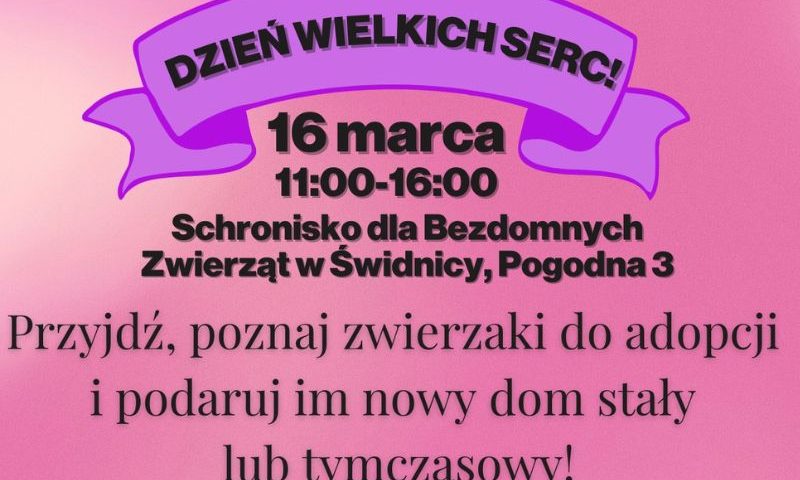 miniaturka plakatu promującego wydarzenie pt. "Dzień Wielkich Serc"