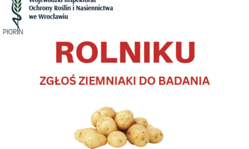 Plakat przedstawiający ziemniaki z napisem "Rolniku - zgłoś ziemniaki do badania"