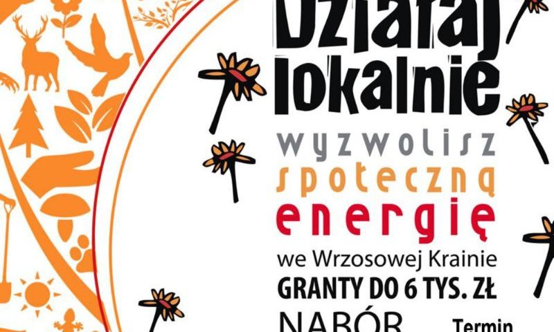 Działaj Lokalnie - plakat
